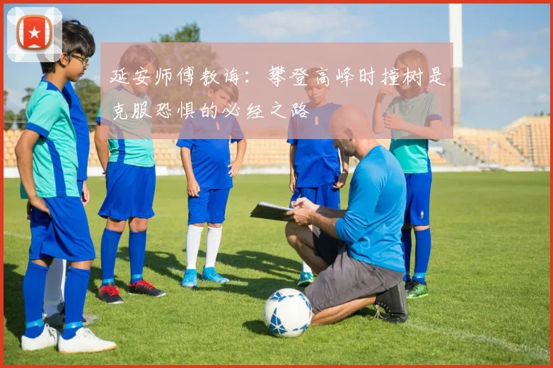 延安师傅教诲：攀登高峰时撞树是克服恐惧的必经之路
