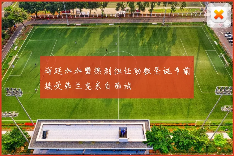 海廷加加盟热刺担任助教圣诞节前接受弗兰克亲自面试